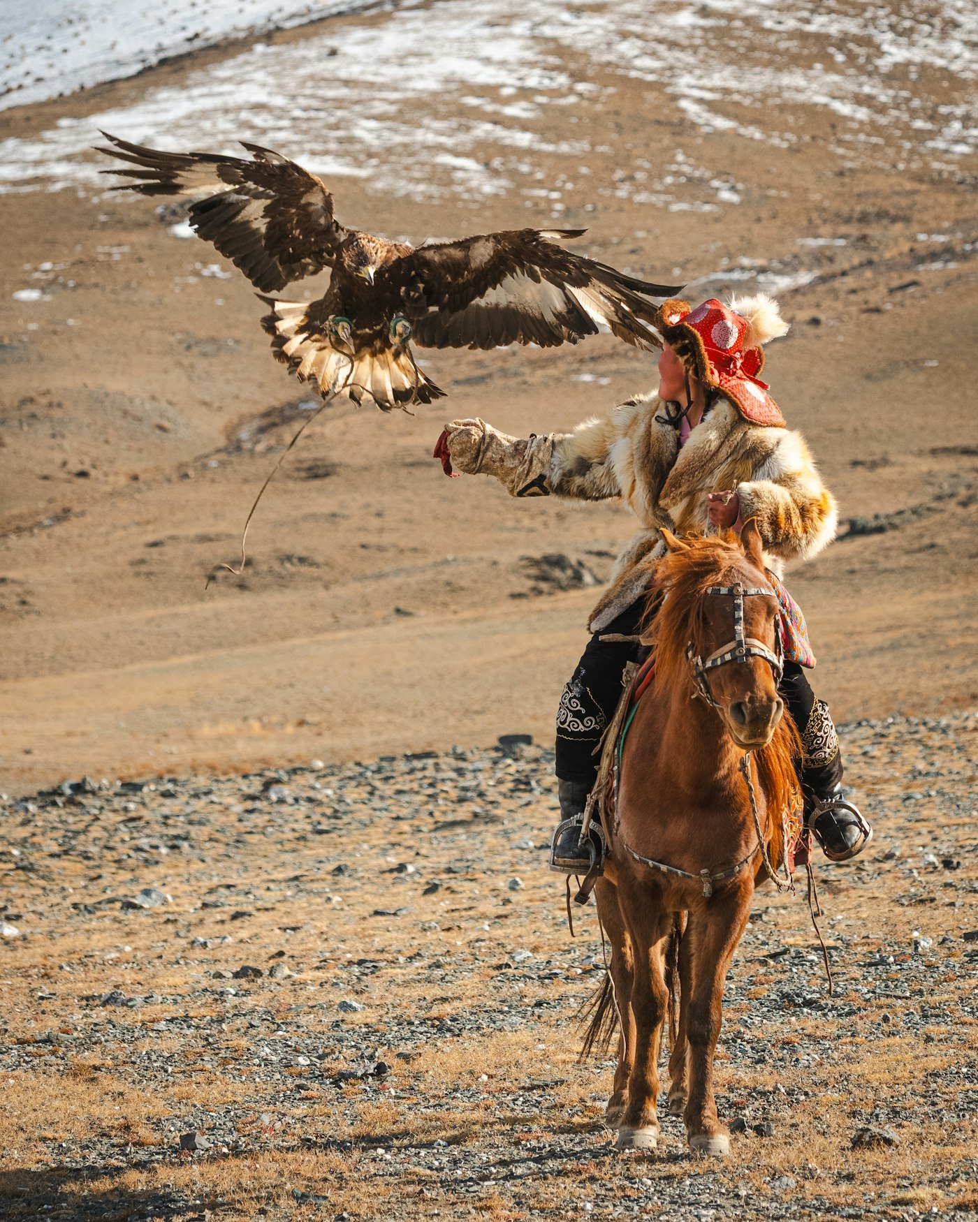 A Kazakh eagle hunter with his golden eagle in the Altai Mountains, Mongolia